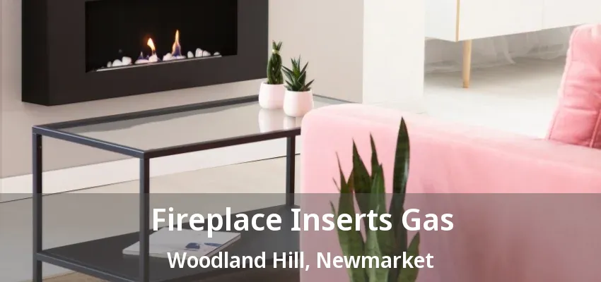 Fireplace Inserts Gas Woodland Hill, Newmarket - ON Fireplace Inserts Gas Woodland Hill, Newmarket - ON