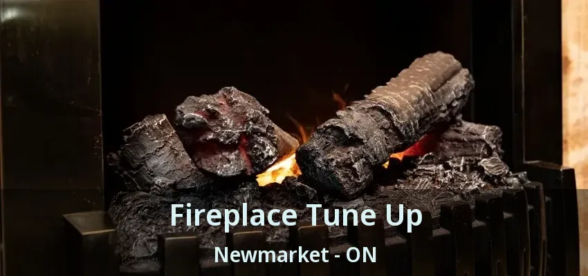 Fireplace Tune Up Newmarket - ON Fireplace Tune Up Newmarket - ON