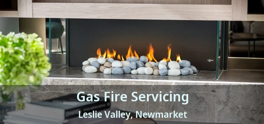 Gas Fire Servicing Leslie Valley, Newmarket - ON Gas Fire Servicing Leslie Valley, Newmarket - ON