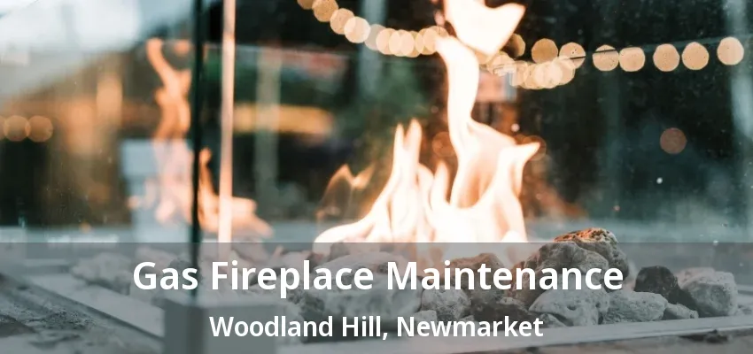 Gas Fireplace Maintenance Woodland Hill, Newmarket - ON Gas Fireplace Maintenance Woodland Hill, Newmarket - ON