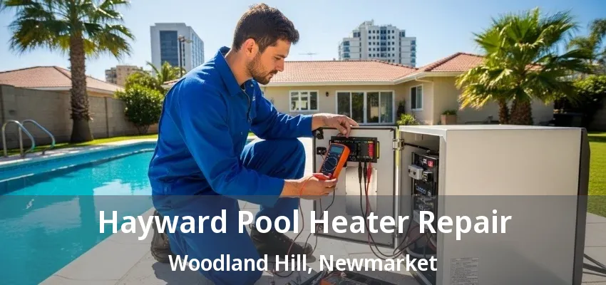 Hayward Pool Heater Repair Woodland Hill, Newmarket - ON Hayward Pool Heater Repair Woodland Hill, Newmarket - ON