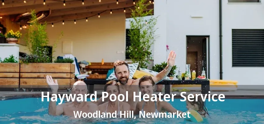 Hayward Pool Heater Service Woodland Hill, Newmarket - ON