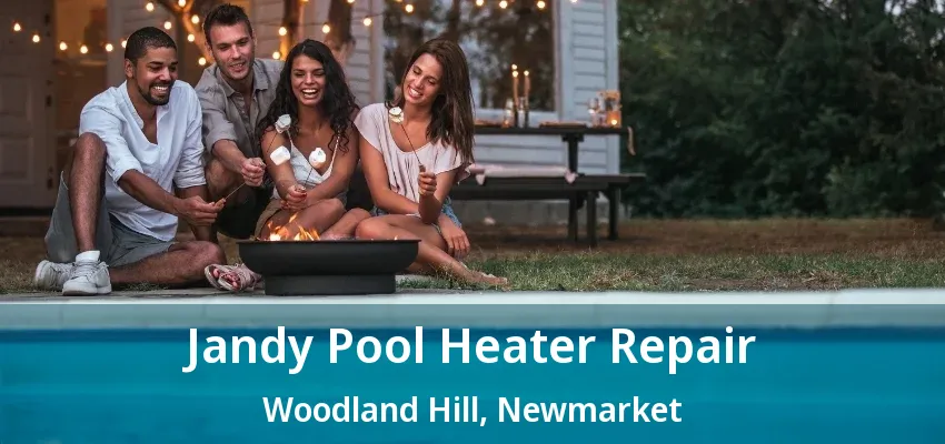 Jandy Pool Heater Repair Woodland Hill, Newmarket - ON Jandy Pool Heater Repair Woodland Hill, Newmarket - ON