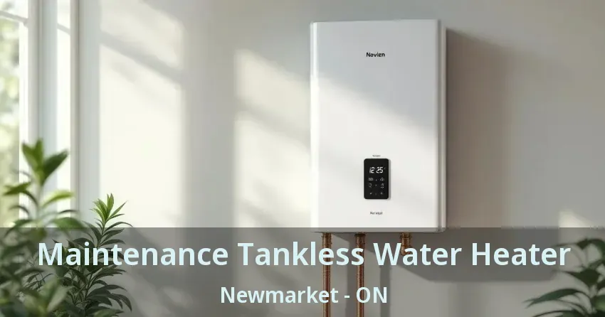 Maintenance Tankless Water Heater Newmarket - ON