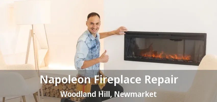 Napoleon Fireplace Repair Woodland Hill, Newmarket - ON