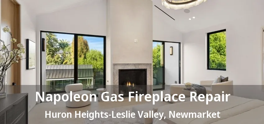 Napoleon Gas Fireplace Repair Huron Heights-Leslie Valley, Newmarket - ON