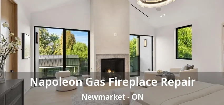 Napoleon Gas Fireplace Repair Newmarket - ON Napoleon Gas Fireplace Repair Newmarket - ON