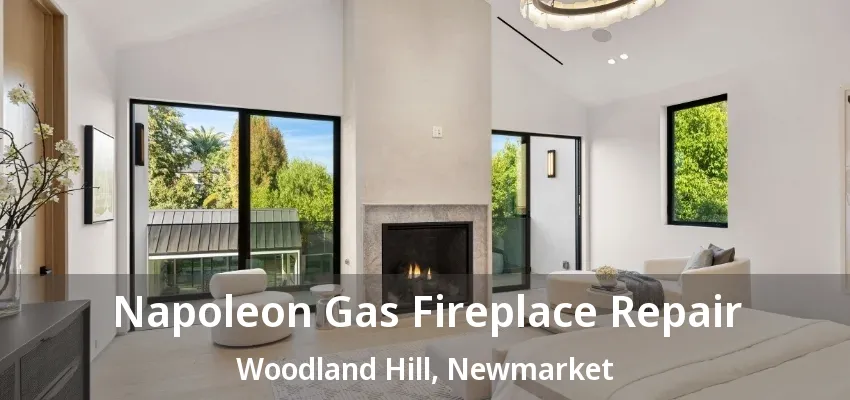 Napoleon Gas Fireplace Repair Woodland Hill, Newmarket - ON