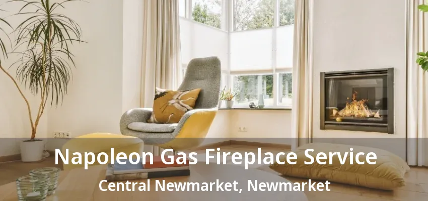 Napoleon Gas Fireplace Service Central Newmarket, Newmarket - ON