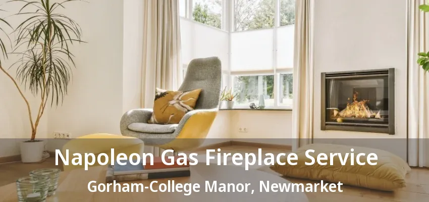Napoleon Gas Fireplace Service Gorham-College Manor, Newmarket - ON