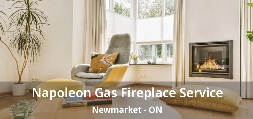 Napoleon Gas Fireplace Service Newmarket - ON Napoleon Gas Fireplace Service Newmarket - ON