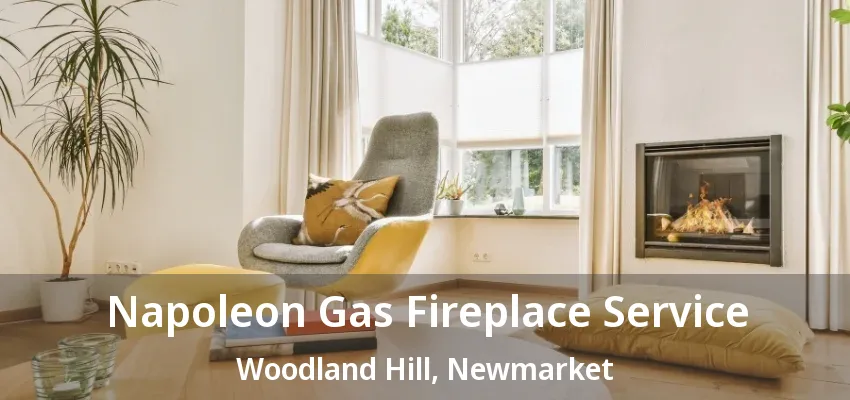 Napoleon Gas Fireplace Service Woodland Hill, Newmarket - ON Napoleon Gas Fireplace Service Woodland Hill, Newmarket - ON