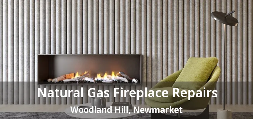 Natural Gas Fireplace Repairs Woodland Hill, Newmarket - ON