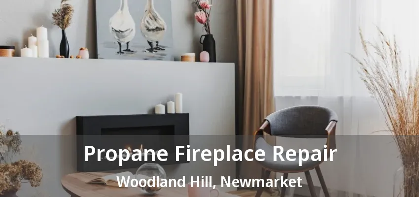 Propane Fireplace Repair Woodland Hill, Newmarket - ON