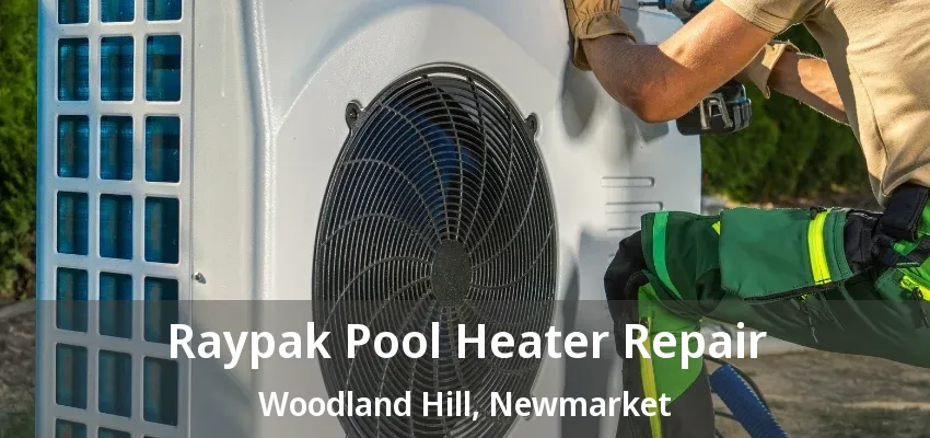 Raypak Pool Heater Repair Woodland Hill, Newmarket - ON Raypak Pool Heater Repair Woodland Hill, Newmarket - ON