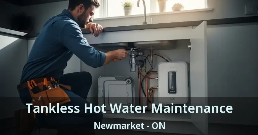 Tankless Hot Water Maintenance Newmarket - ON