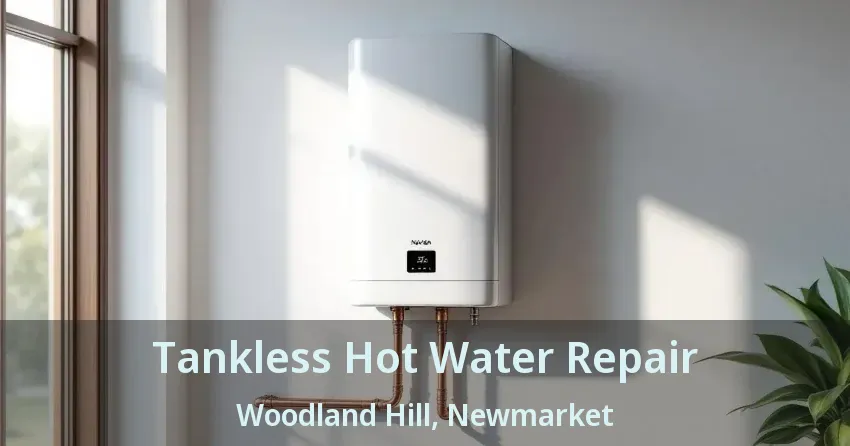 Tankless Hot Water Repair Woodland Hill, Newmarket - ON