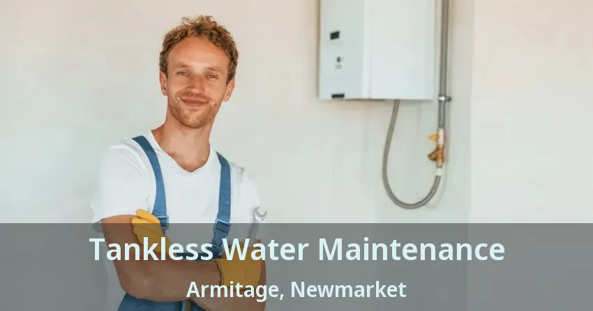 Tankless Water Maintenance Armitage, Newmarket - ON