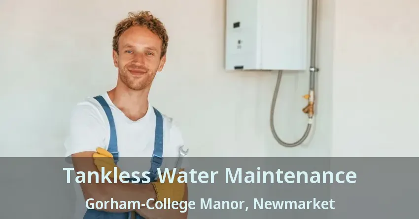 Tankless Water Maintenance Gorham-College Manor, Newmarket - ON