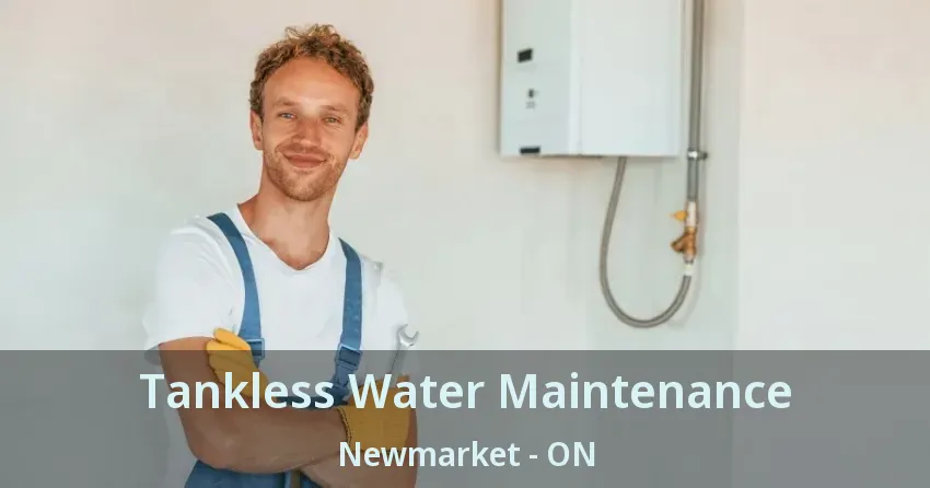 Tankless Water Maintenance Newmarket - ON Tankless Water Maintenance Newmarket - ON