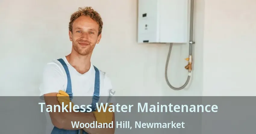 Tankless Water Maintenance Woodland Hill, Newmarket - ON Tankless Water Maintenance Woodland Hill, Newmarket - ON