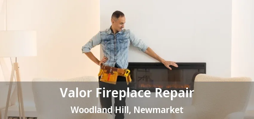 Valor Fireplace Repair Woodland Hill, Newmarket - ON